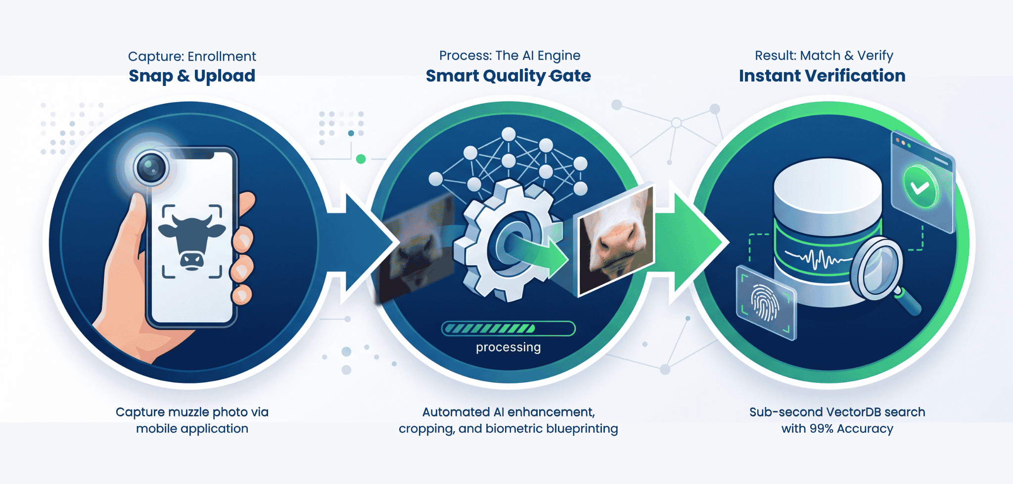 AI pipeline: capture, process, and verify muzzle biometrics